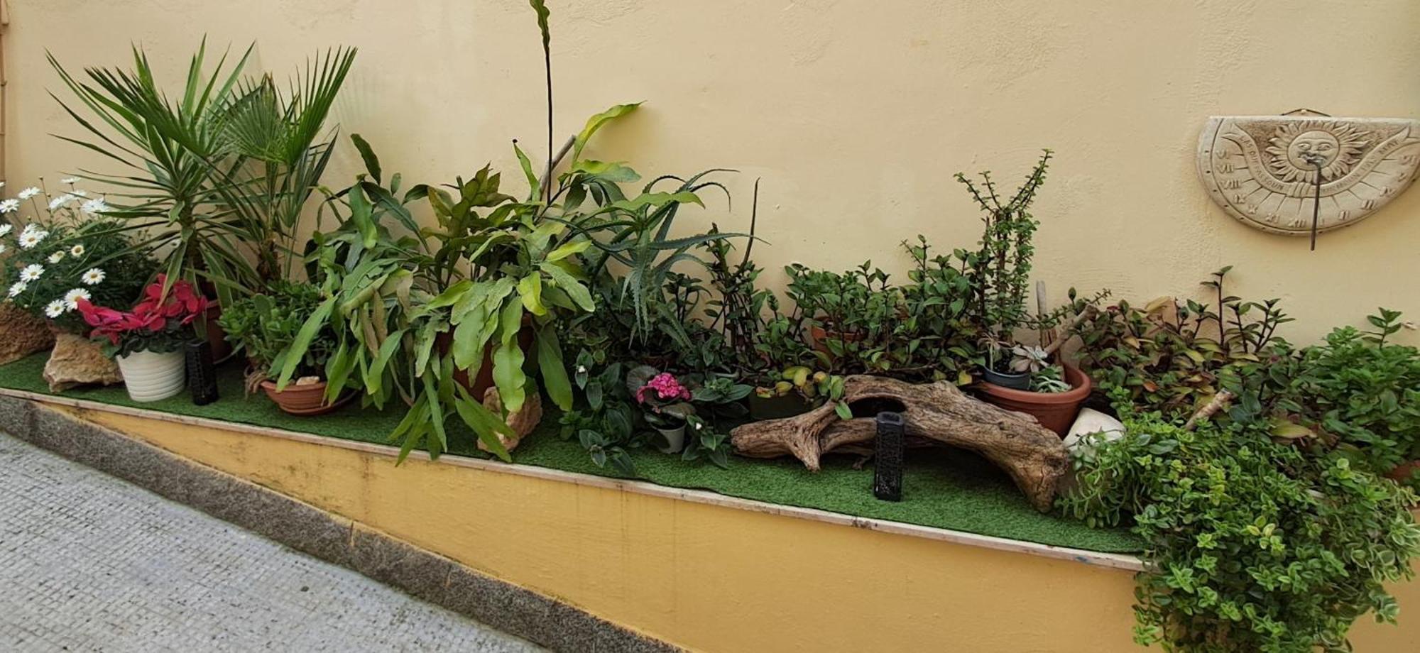 Vila La Dimora Segreta Bitetto Exteriér fotografie